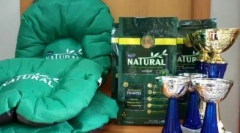 Гуабі - бразильські кішки для кішок